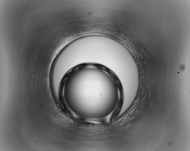 X0000097950292200804071012