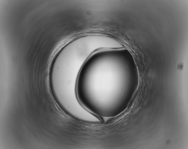 X0000097950293200804071012