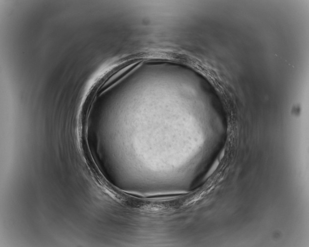 X0000097950294200804071012