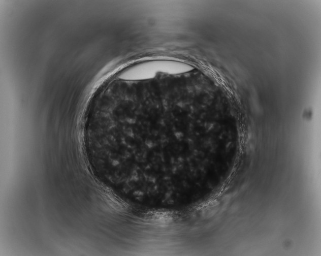 X0000097950295200804071012