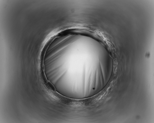 X0000097950296200804071012