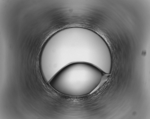 X0000097950297200804071012