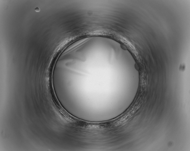 X0000097950298200804071012
