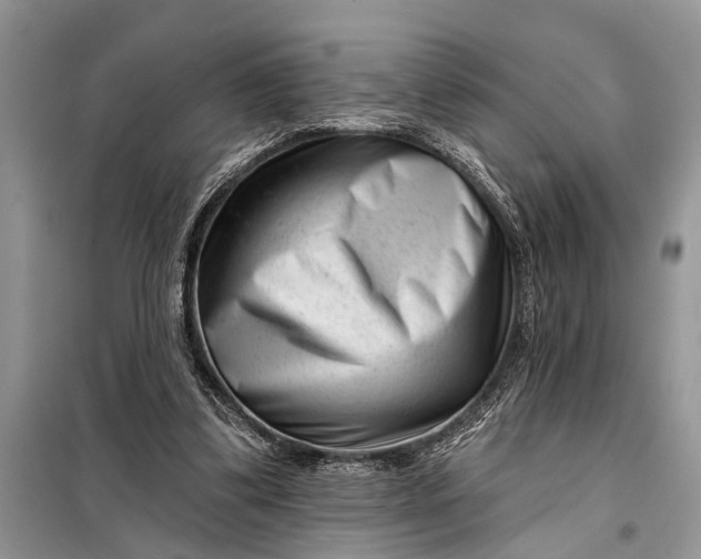 X0000097950299200804071012
