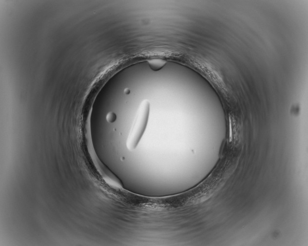 X0000097950300200804071012