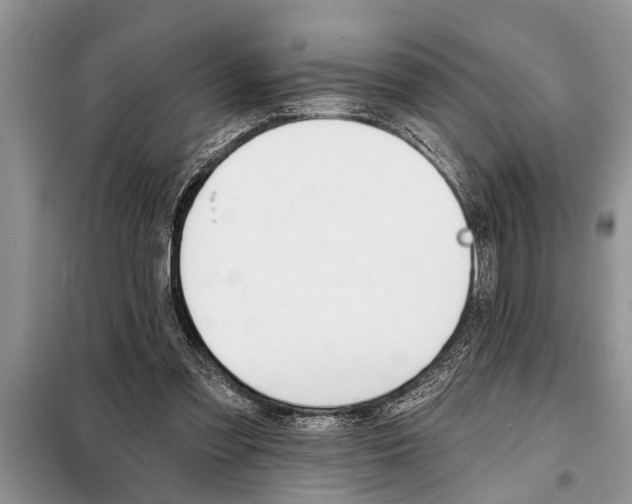 X0000097950301200804071012