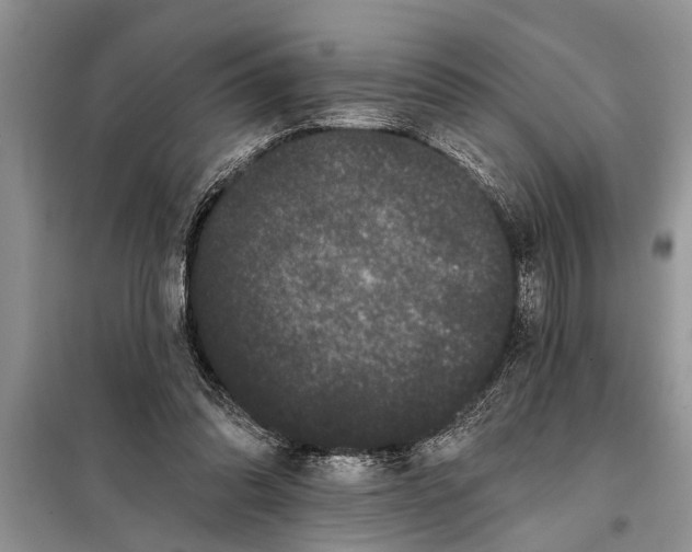 X0000097950302200804071012