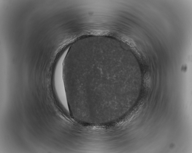 X0000097950303200804071012