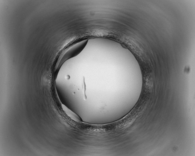 X0000097950304200804071012