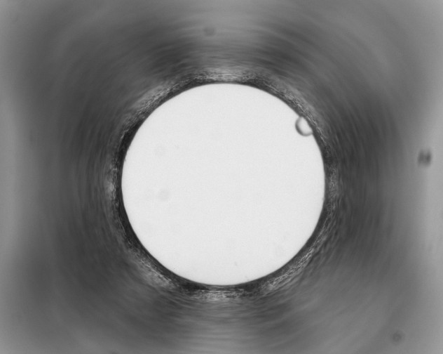 X0000097950305200804071012