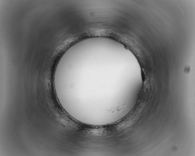 X0000097950306200804071012