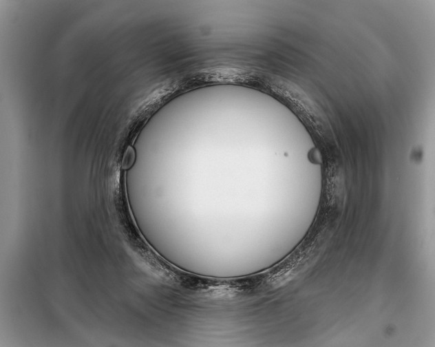 X0000097950310200804071012