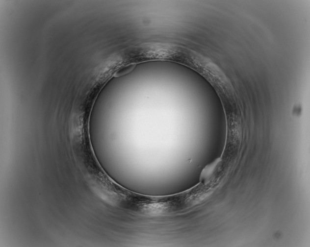 X0000097950312200804071012