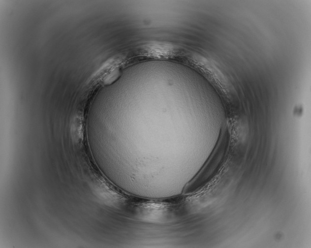 X0000097950313200804071012