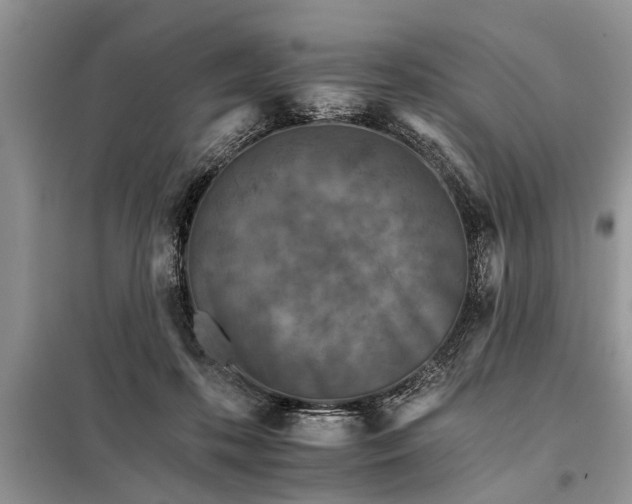 X0000097950316200804071012