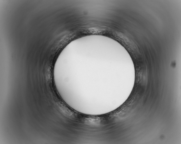 X0000097950317200804071011