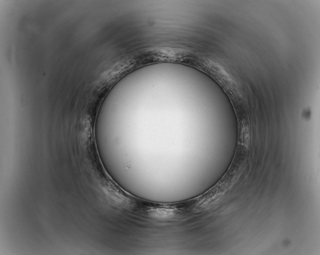 X0000097950318200804071011