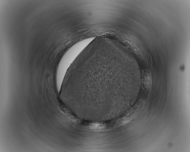 X0000097950319200804071011