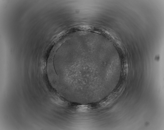 X0000097950320200804071011