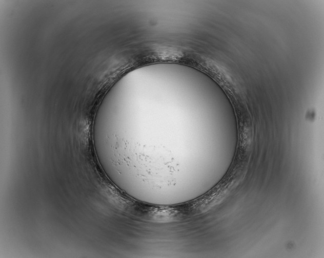X0000097950321200804071011