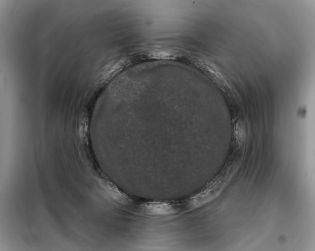 X0000097950322200804071011
