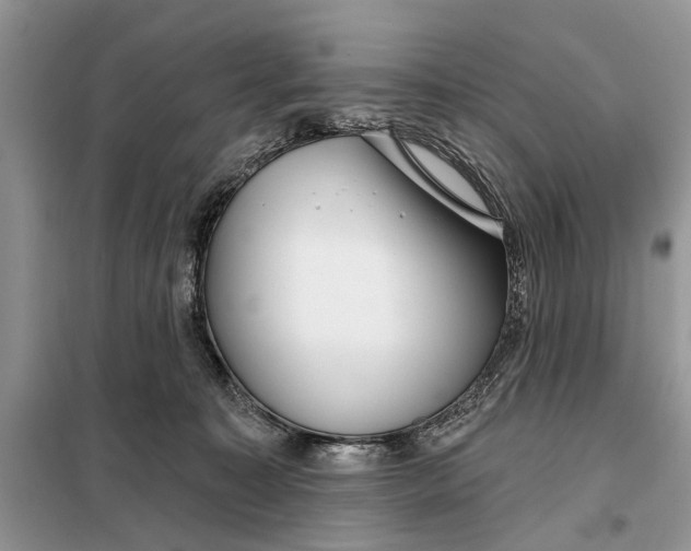 X0000097950323200804071011