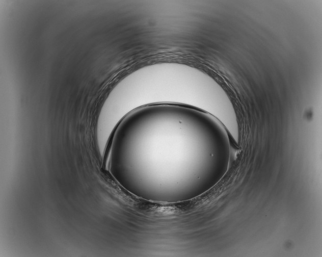 X0000097950324200804071011