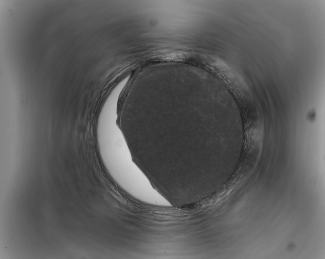 X0000097950325200804071011
