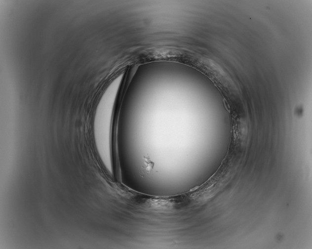 X0000097950327200804071011