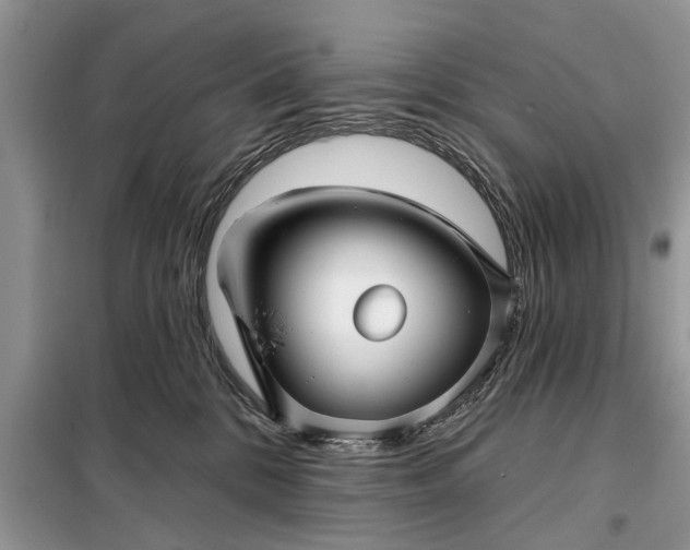 X0000097950328200804071011