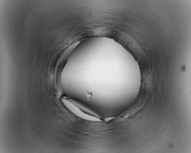 X0000097950329200804071011