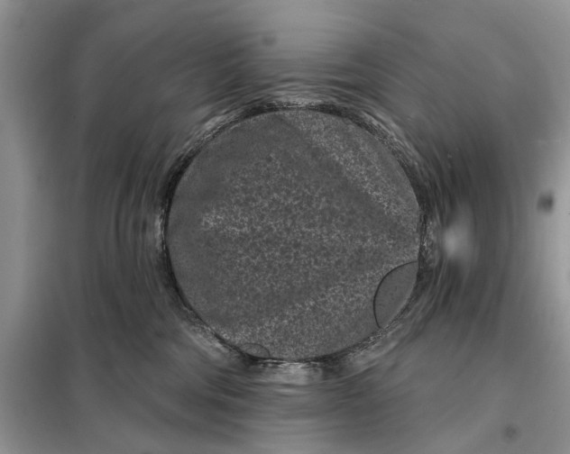 X0000097950330200804071011