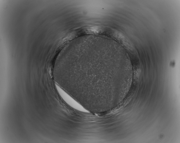 X0000097950331200804071011