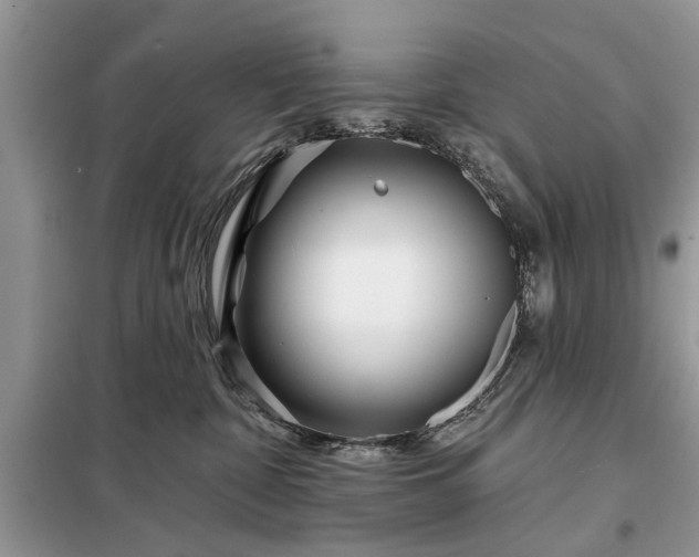 X0000097950332200804071011