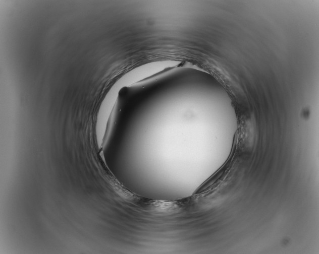 X0000097950333200804071011