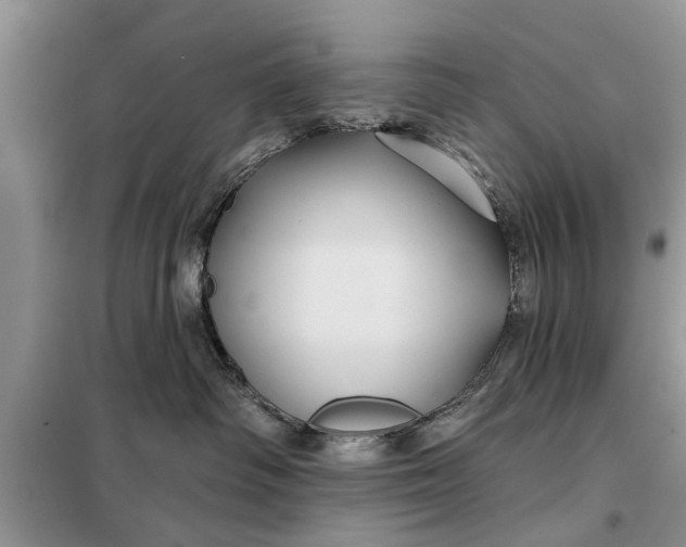 X0000097950334200804071011