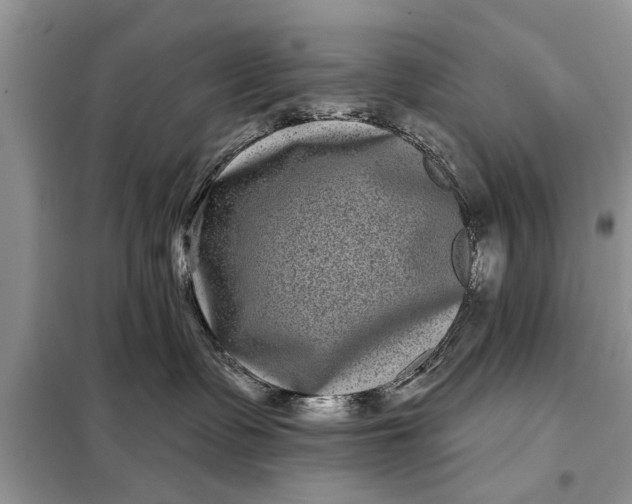 X0000097950335200804071011