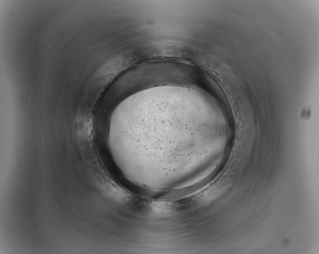 X0000097950336200804071011