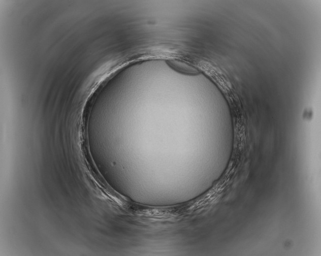 X0000097950338200804071010
