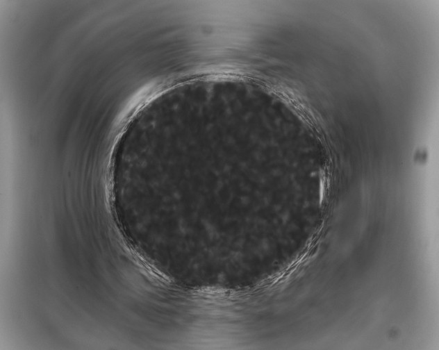 X0000097950339200804071010