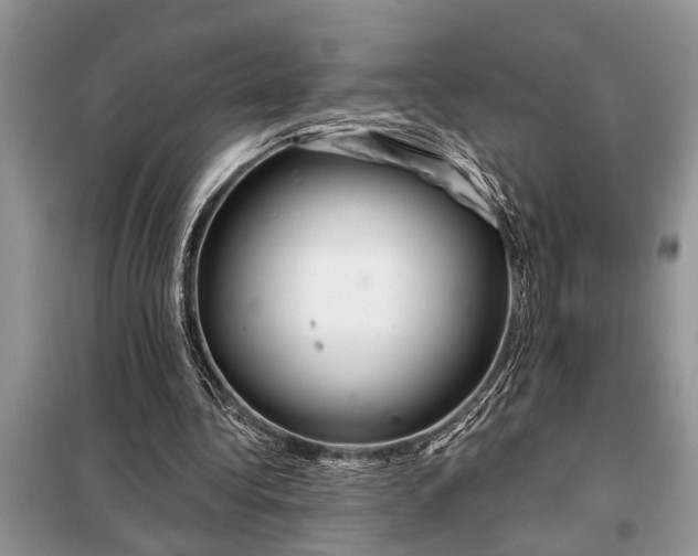 X0000097950340200804071010