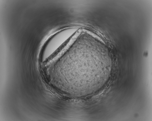 X0000097950343200804071010