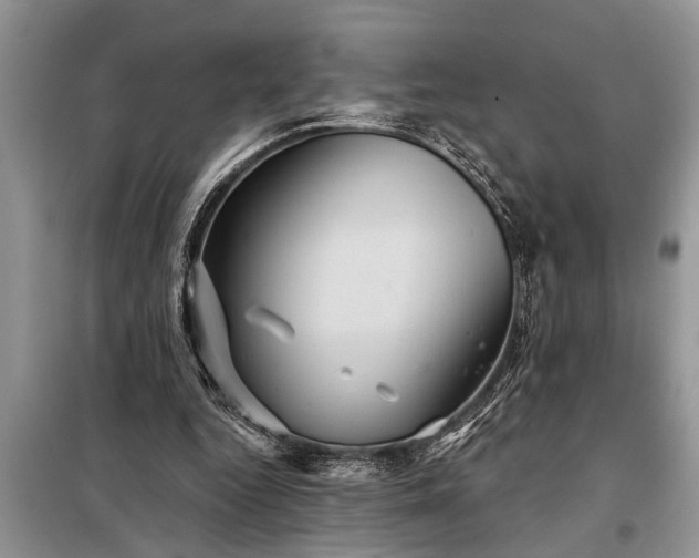 X0000097950344200804071010