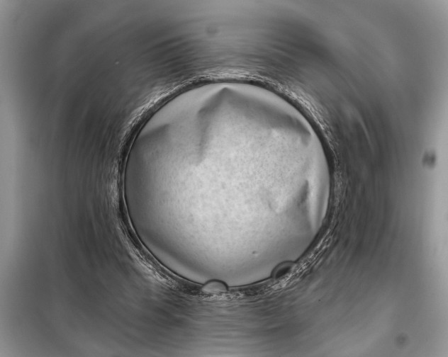 X0000097950345200804071010