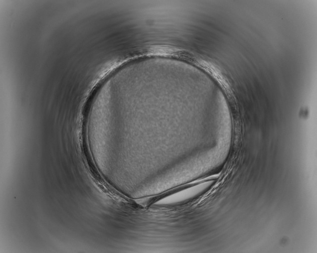 X0000097950346200804071011