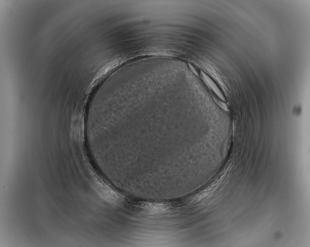 X0000097950349200804071011