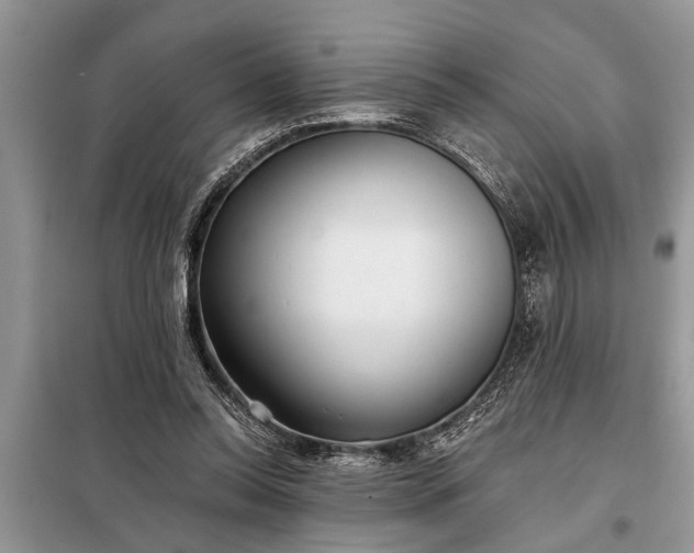 X0000097950350200804071011