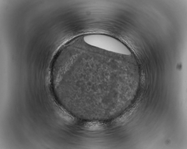 X0000097950351200804071011
