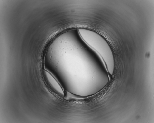 X0000097950352200804071011