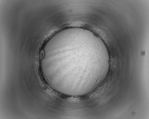 X0000097950354200804071011
